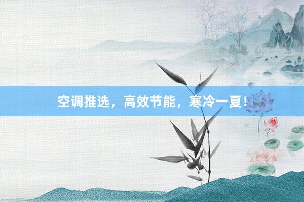 空调推选，高效节能，寒冷一夏！