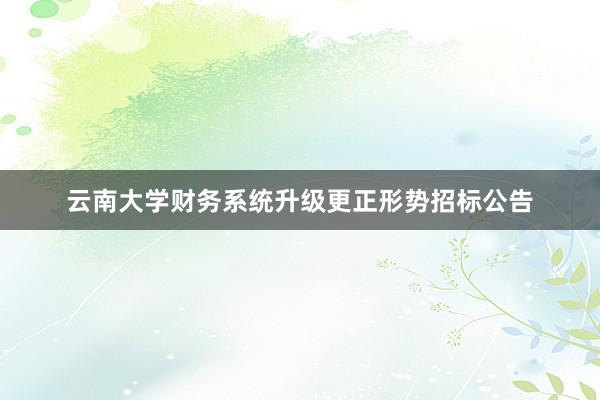 云南大学财务系统升级更正形势招标公告