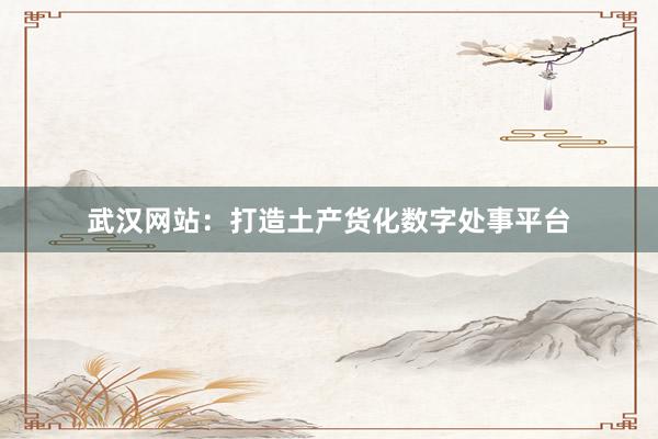 武汉网站：打造土产货化数字处事平台