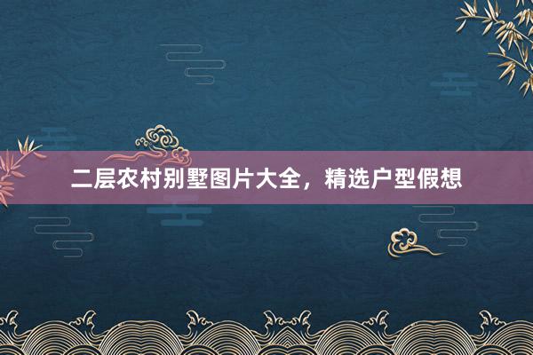 二层农村别墅图片大全，精选户型假想