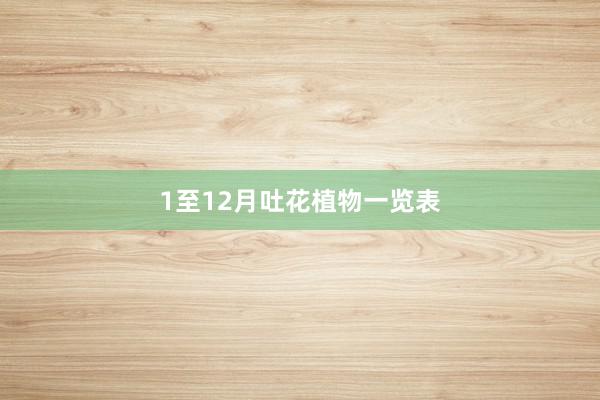 1至12月吐花植物一览表