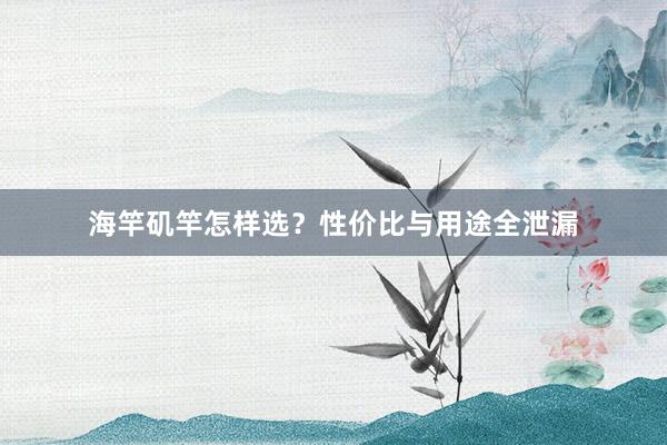 海竿矶竿怎样选？性价比与用途全泄漏
