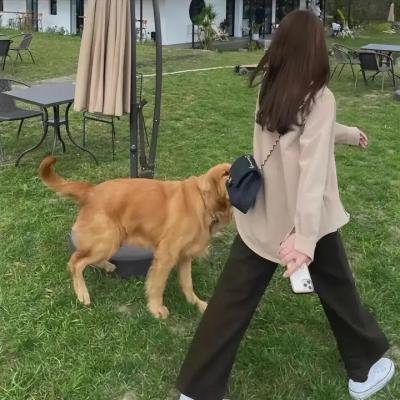 赤子传奇